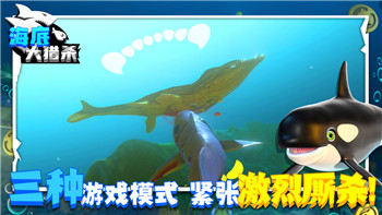 麻布仔大冒险PC平台上线，探索新奇冒险世界的最新体验与挑战