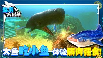 《归龙潮》明铢的多种获取途径详解！